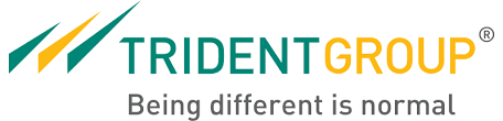 Trident’s Q3 profit drops 27%, yarn sales lead textile decline amid inflation