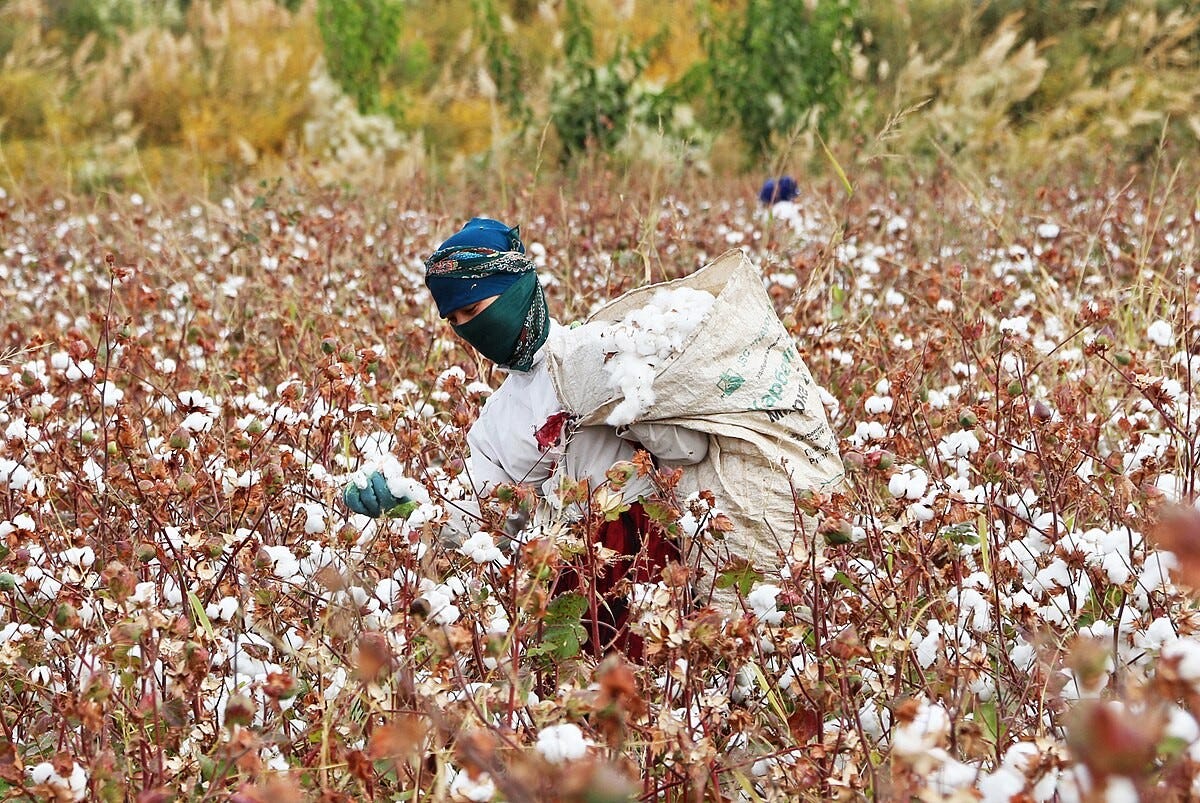 Trump administration halts $38 million in foreign aid, ends Uzbek cotton project