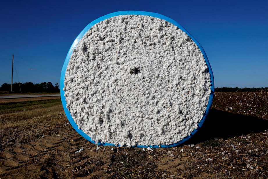 US cotton exports to India rise amid China tariffs and falling yields