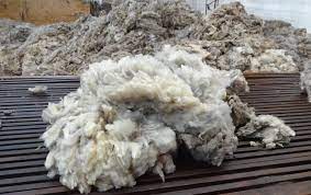 US wool market to hit $ 555.6 mn by 2032