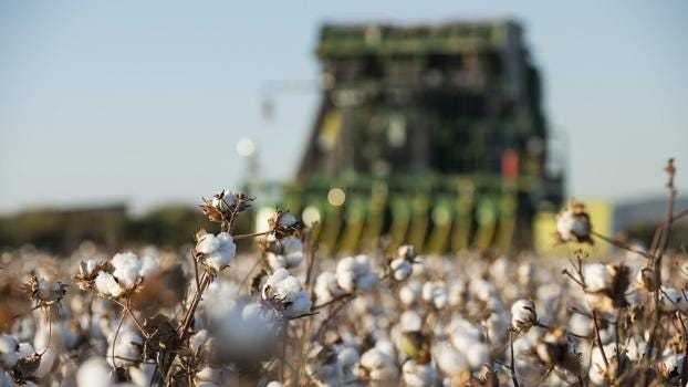 USDA forecast for 2024-45 predicts lower cotton production in India