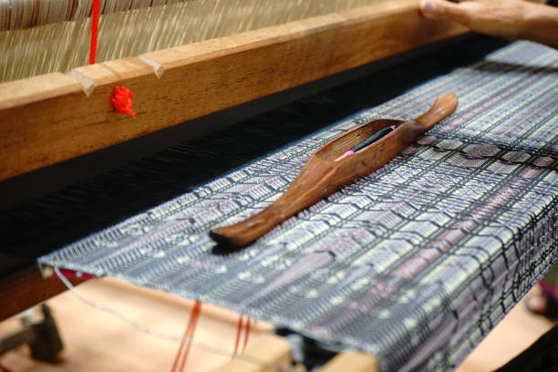 Gujarat weavers urge expansion of PM Mitra Park in Surat