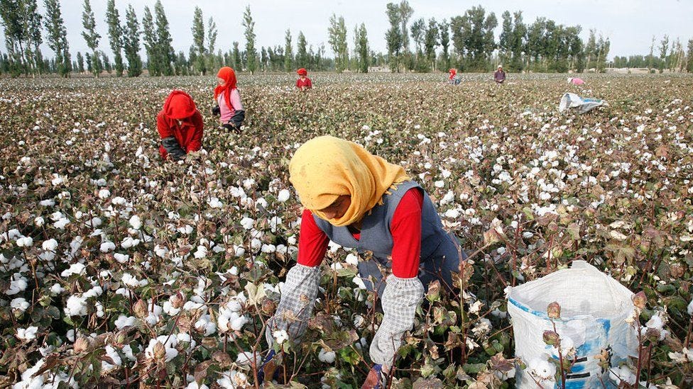 Almost 19% of tested goods contain Xinjiang cotton despite US ban