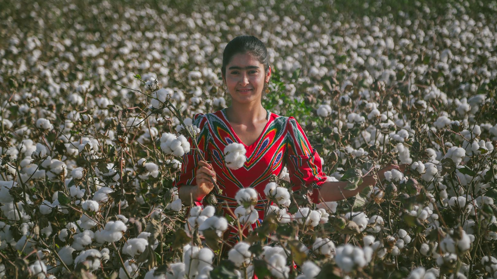 Xinjiang Cotton in the Crosshairs: EU cracks down on forced labor 