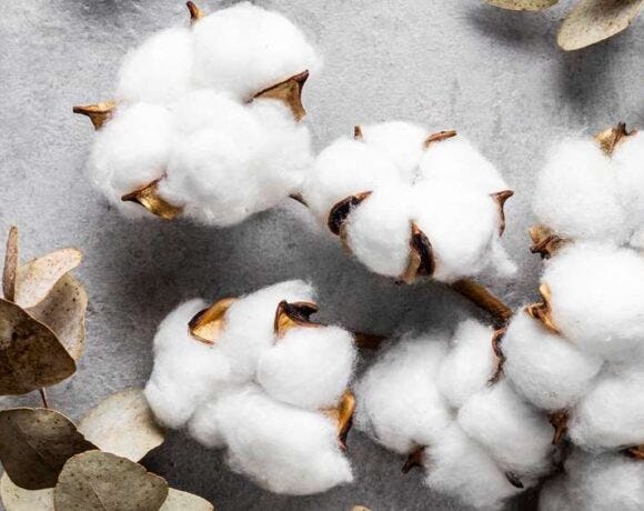 Better_Cotton_extends_partnership_with_Cotton_Australia_until_2027