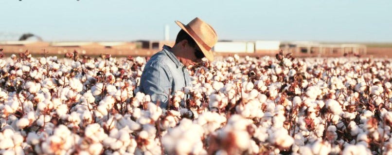 Content/Brazil_cotton