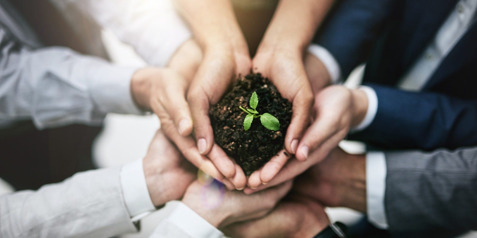 Cotton_Inc._Lifestyle_Monitor_Survey_reveals_sustainability_concerns_among_consumers