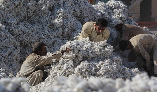 Feature_Story-Pakistan_s_cotton_industry_struggles_for_survival_amid_policy_gaps