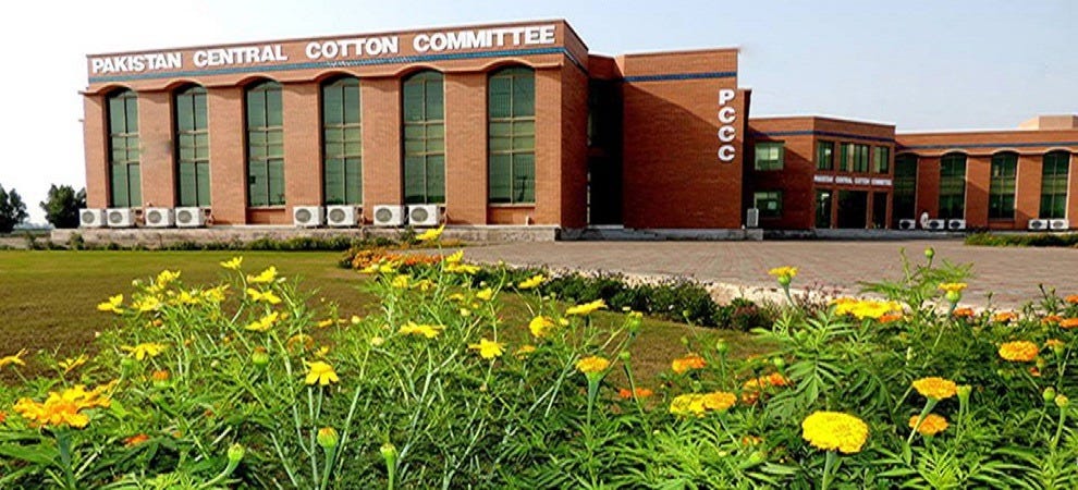 Pakistan_s_Central_Cotton_Committee