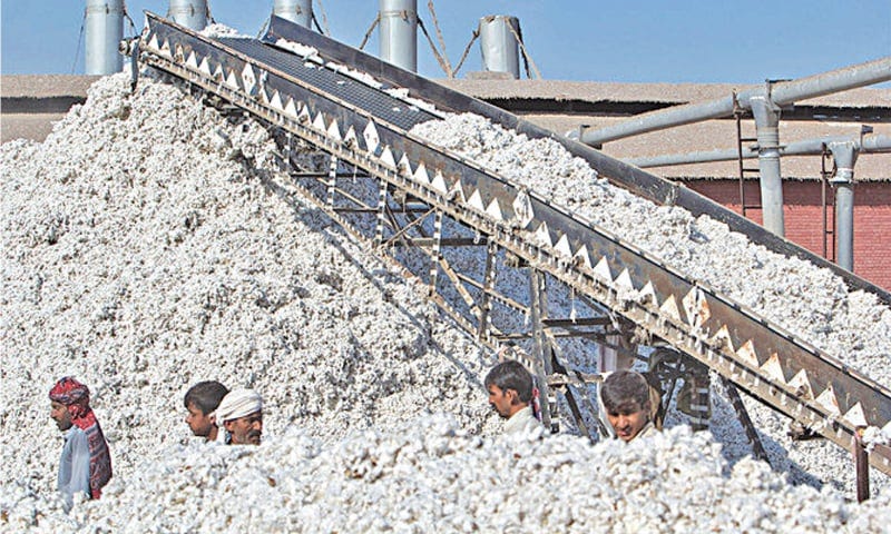 Pakistan_to_introduce_TTS_to_prevent_tax_evasion_in_domestic_cotton_sector