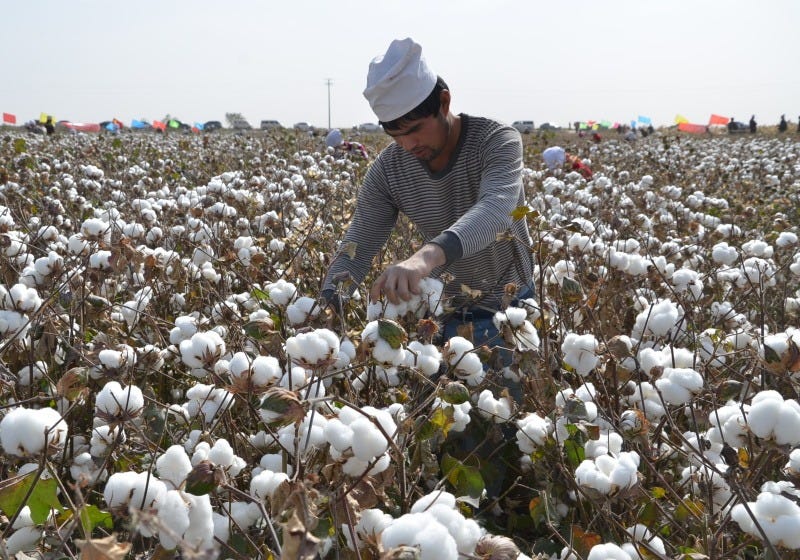 Xinjiang_Cotton_Association_defends_industry_amidst_global_scrutiny